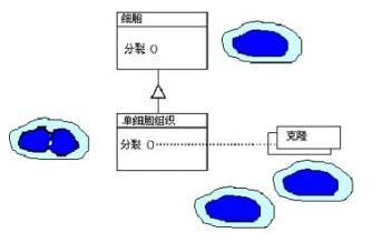 .NET设计模式（6）：原型模式（Prototype Pattern）