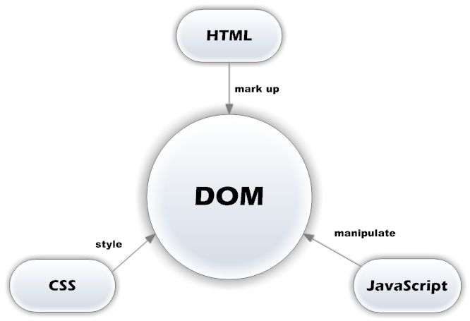 HTML DOM（学习笔记一）