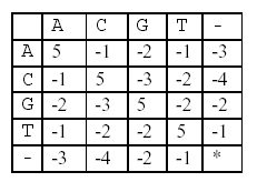 POJ 1080, Human Gene Functions