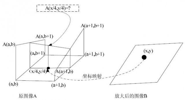 用线性插值算法实现图像缩放