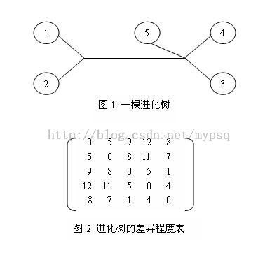 进化树问题