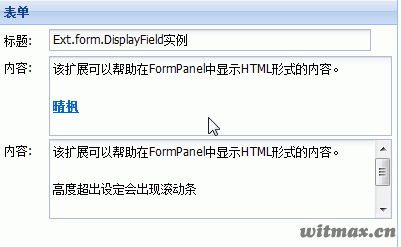 Ext.form.DisplayField效果实例