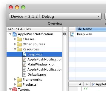 Programming Apple Push Notification Services