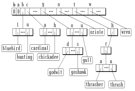 Trie树