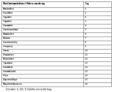 《Metadata Tables》第3章 MetaData Table Types