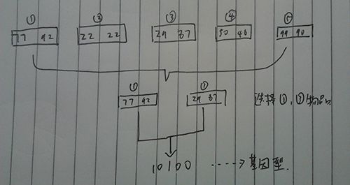 自话遗传算法（带实例）