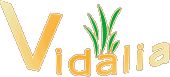 vidalia 更换浏览器代理