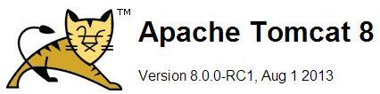 Apache Tomcat8必备知识（完整的支持WebSockets 1.0）