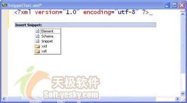 VS2005中用Code Snippets提高开发效率