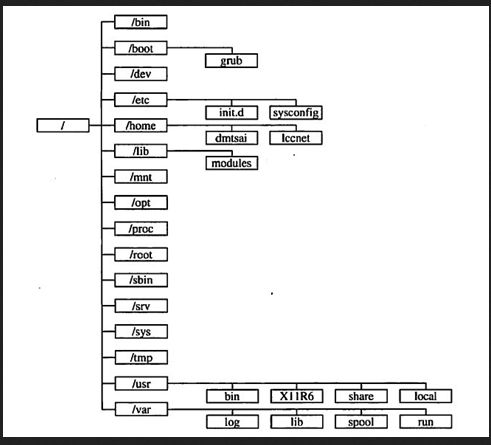 CentOS6.5菜鸟之旅：纯Linux目录结构