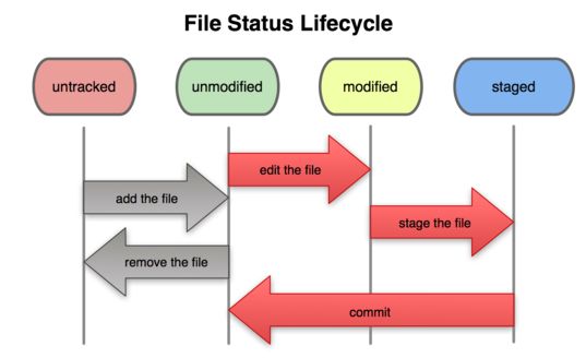 Git 文件状态的转换