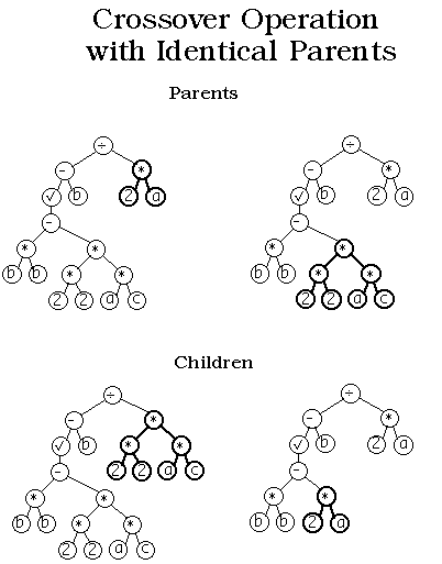 遗传算法—genetic algorithms