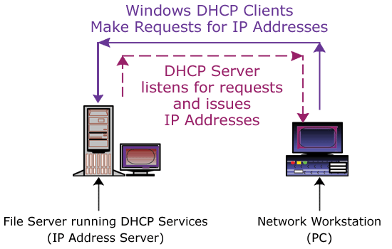 Figure 1. DHCP Server and Client