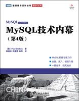 MySQL技术内幕:第4版(china-pub首发)