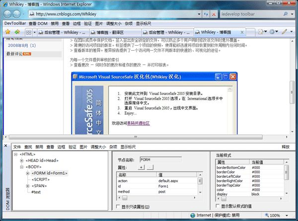 微软IE开发者工具条中文版（MS IE Developer Toolbar）