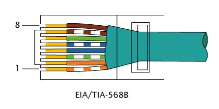 File:RJ-45 TIA-568B Left.png