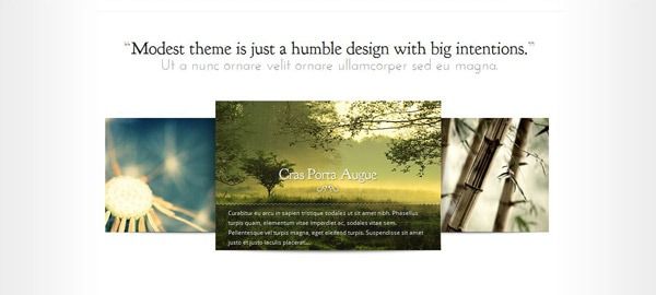 Modest-Theme-Preview.jpg