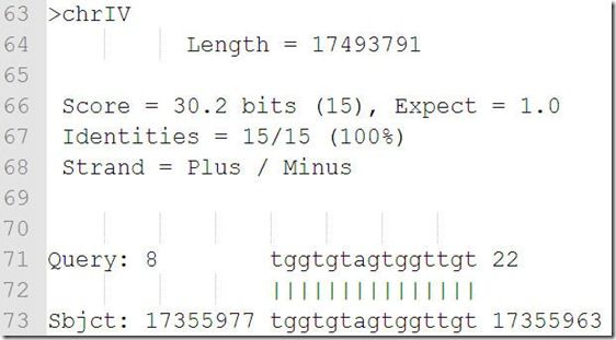 megaBlast_output_2